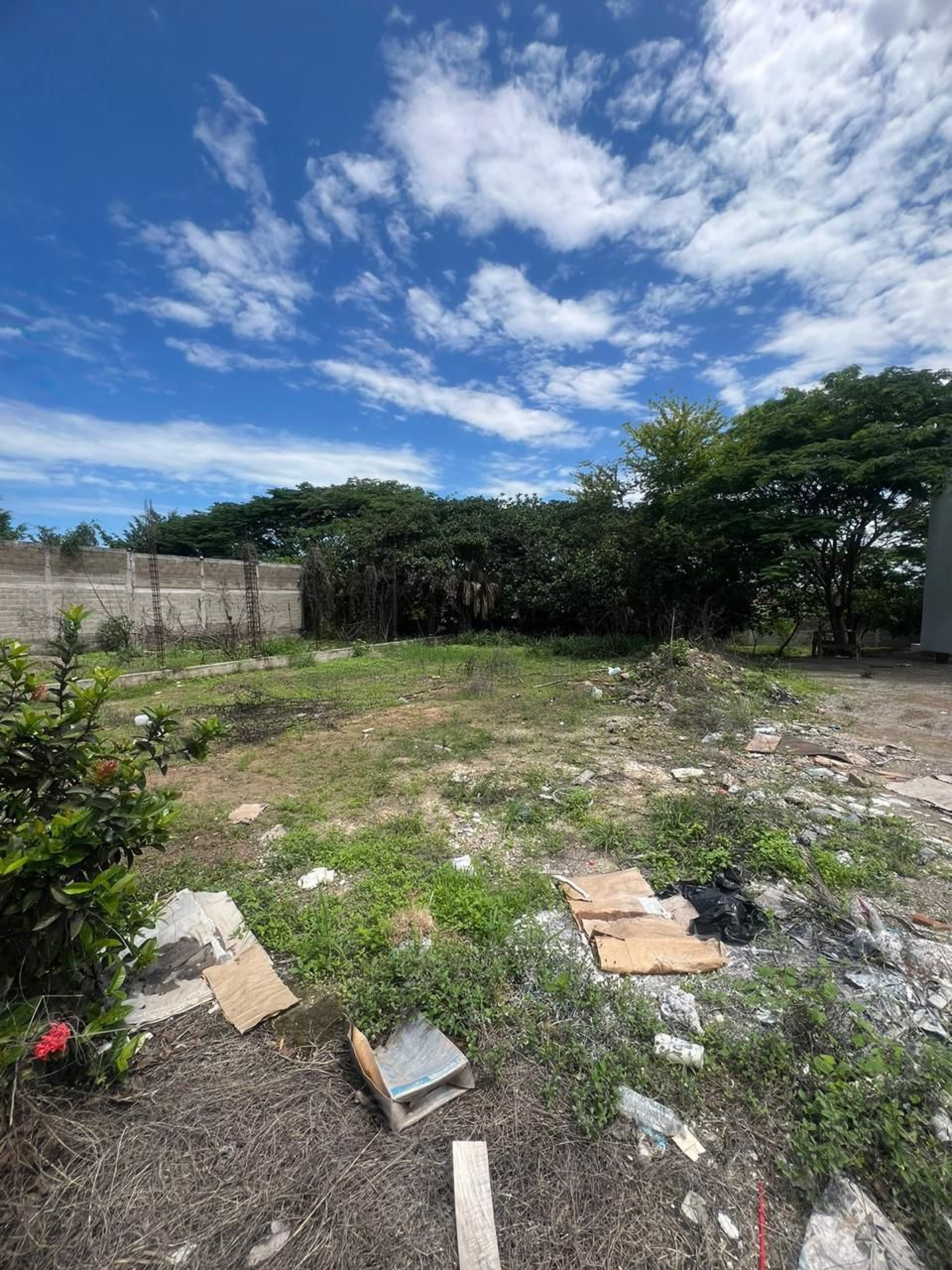 Image gallery of Lisboa Lote 8 – Land for Sale in Residential Area in Puerto Vallarta