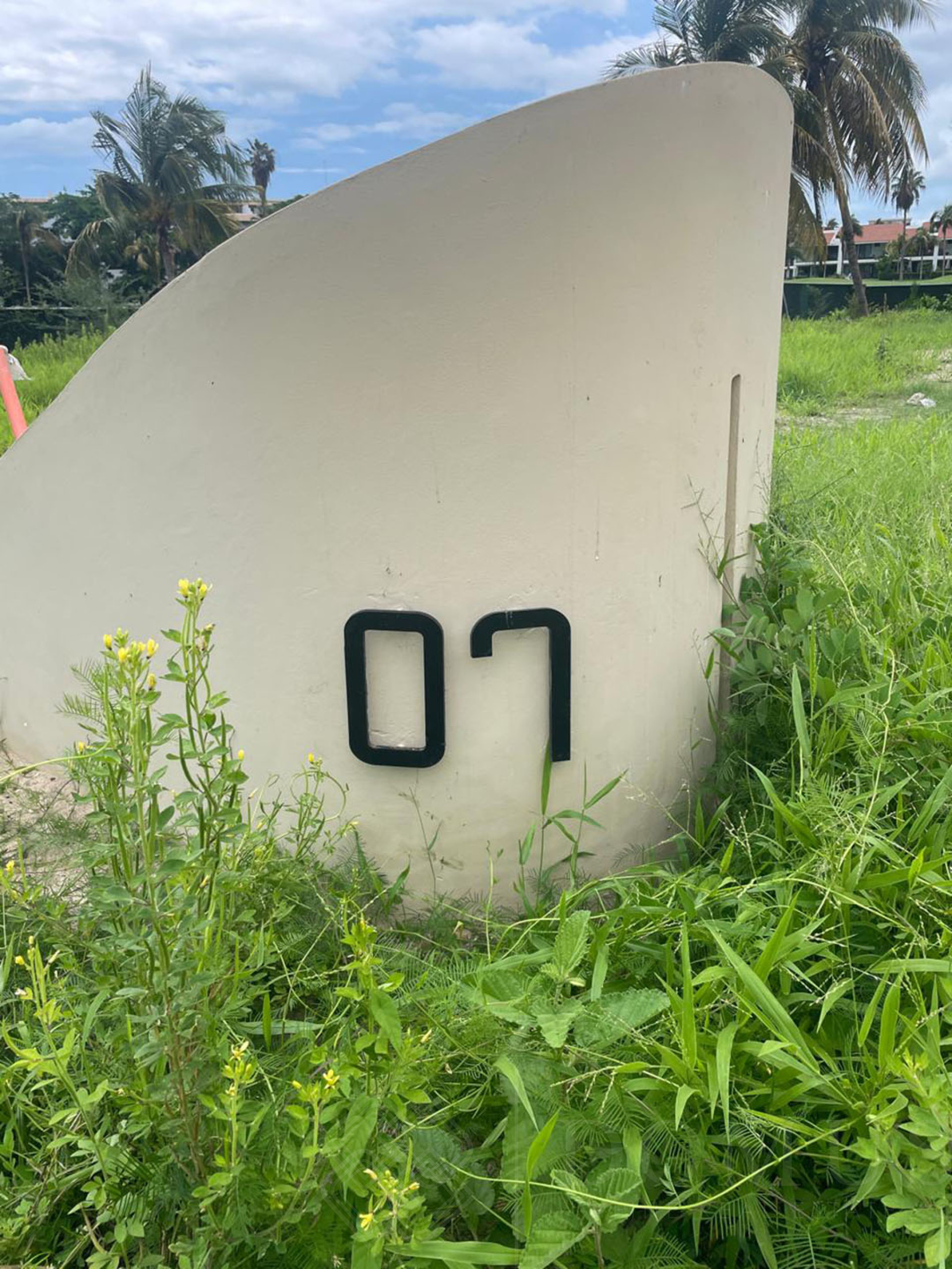 Galeria de Lote 7 Isla Palmares Estates - Lote en venta en El Tigre Nuevo Vallarta 