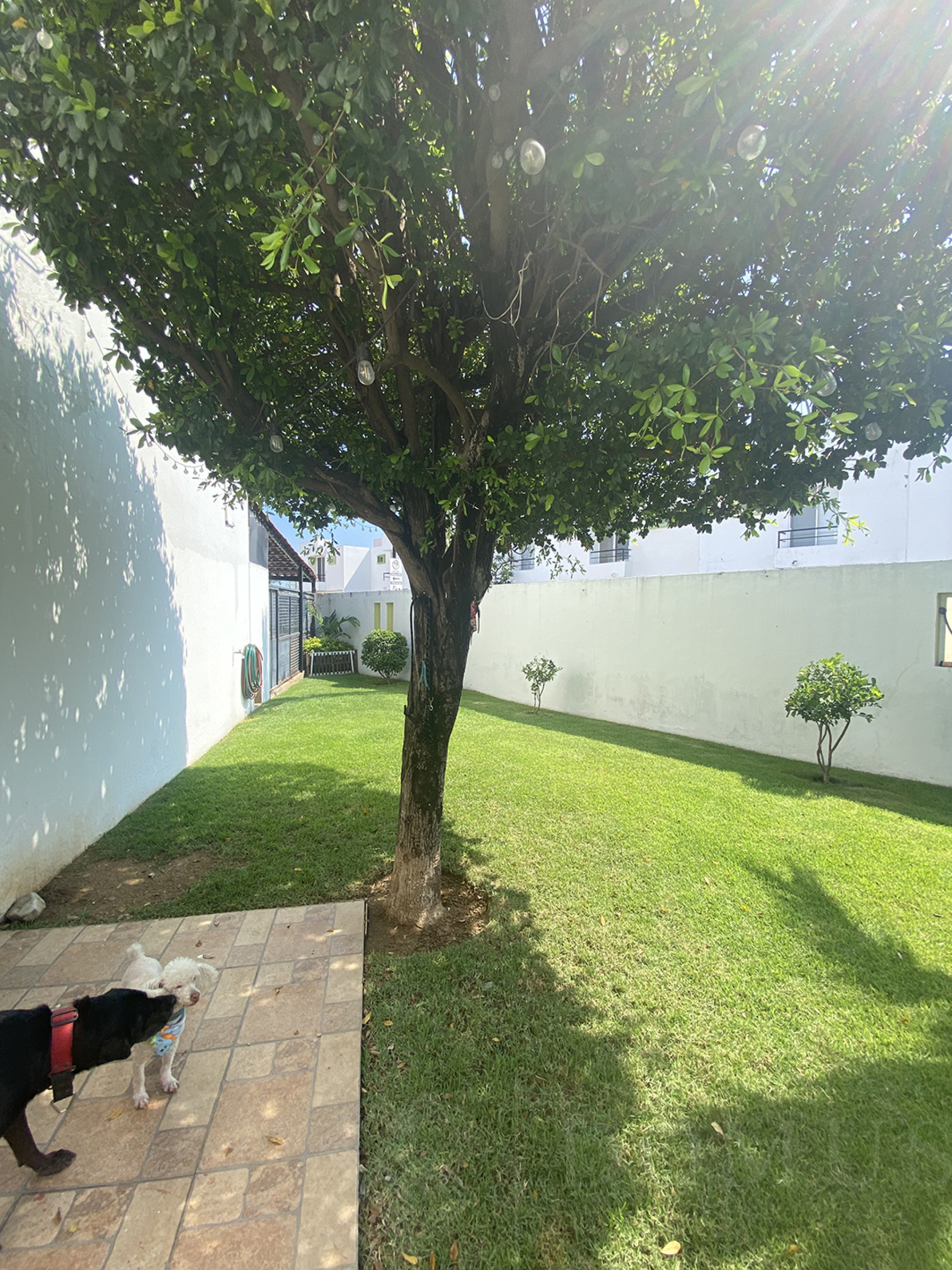 Galeria de Rincón de Cielo San Gabriel 65 - Casa en venta en Riviera Nayarit