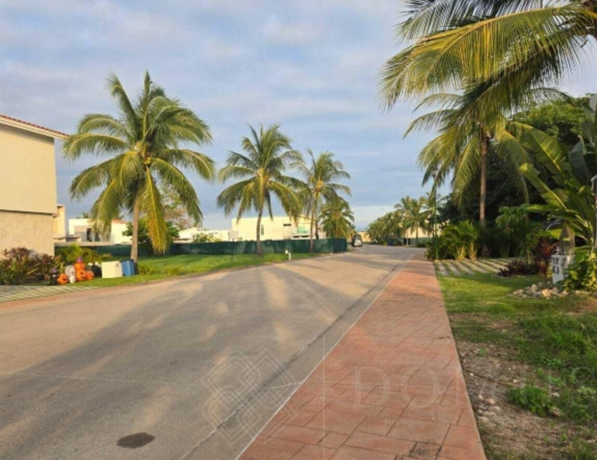 Galeria de Lote Abedul 24 Los Tigres, Nuevo Vallarta.