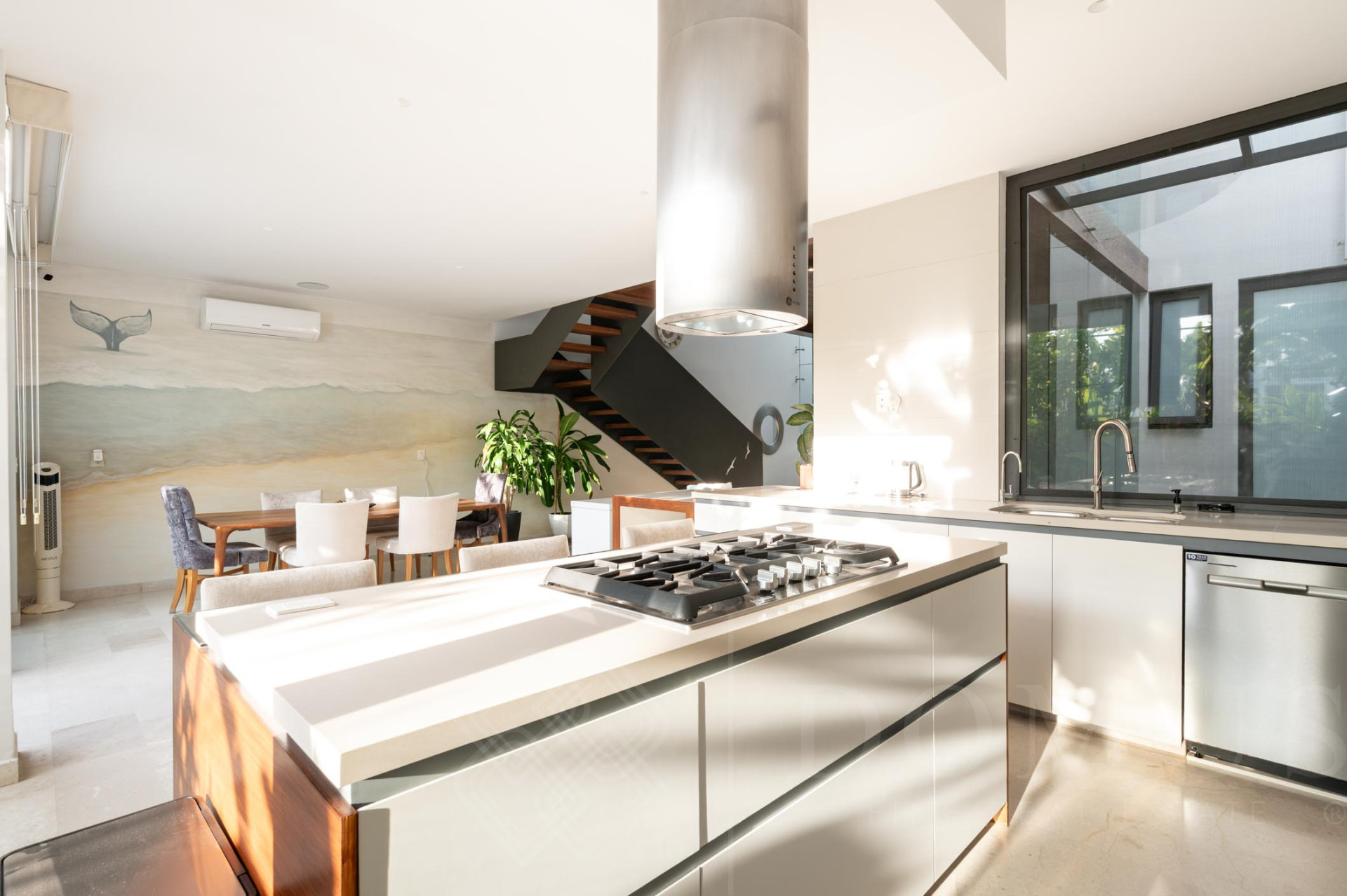 Galeria de Casa Tortugas #55, B Nayar