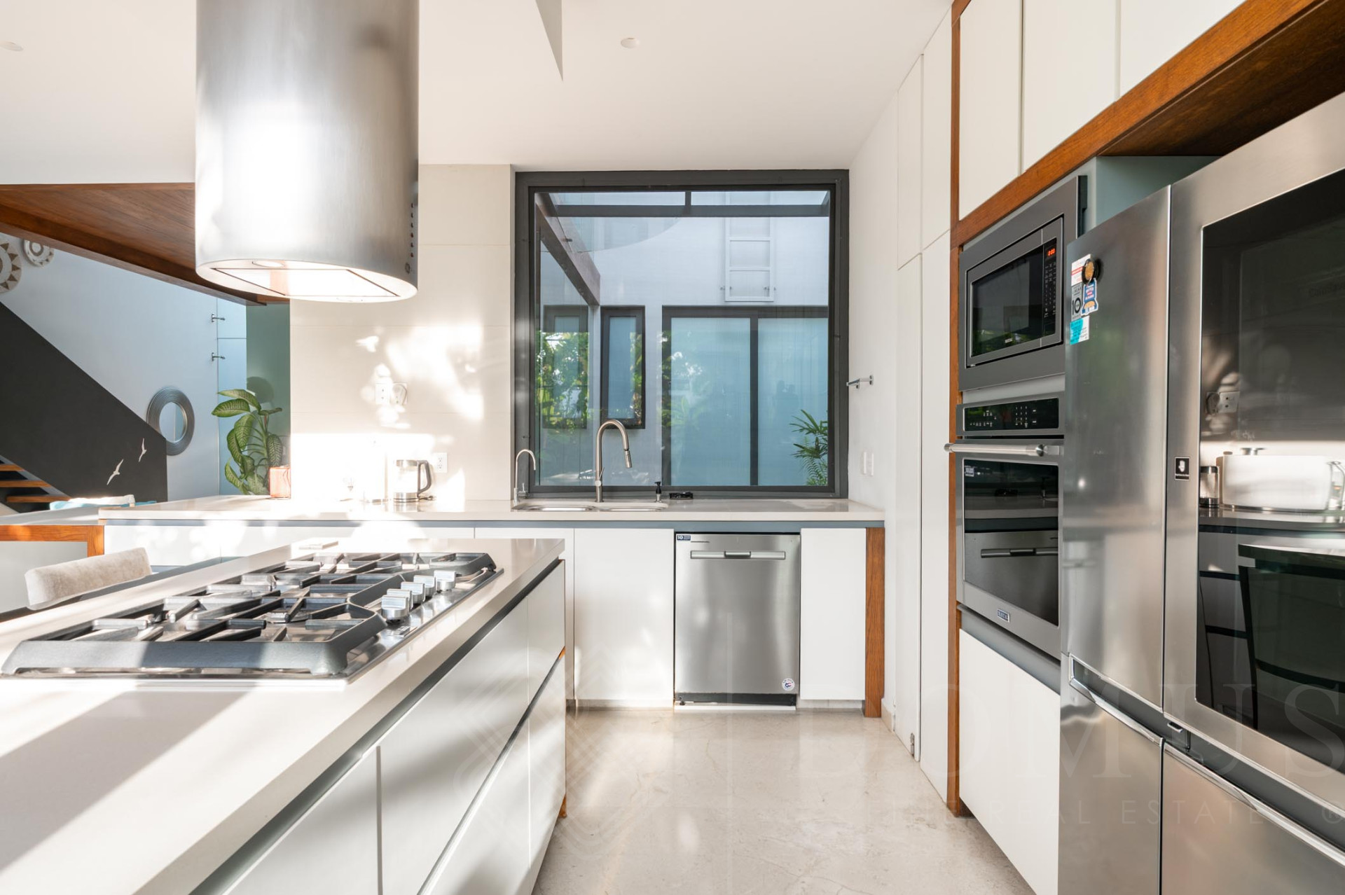 Galeria de Casa Tortugas #55, B Nayar