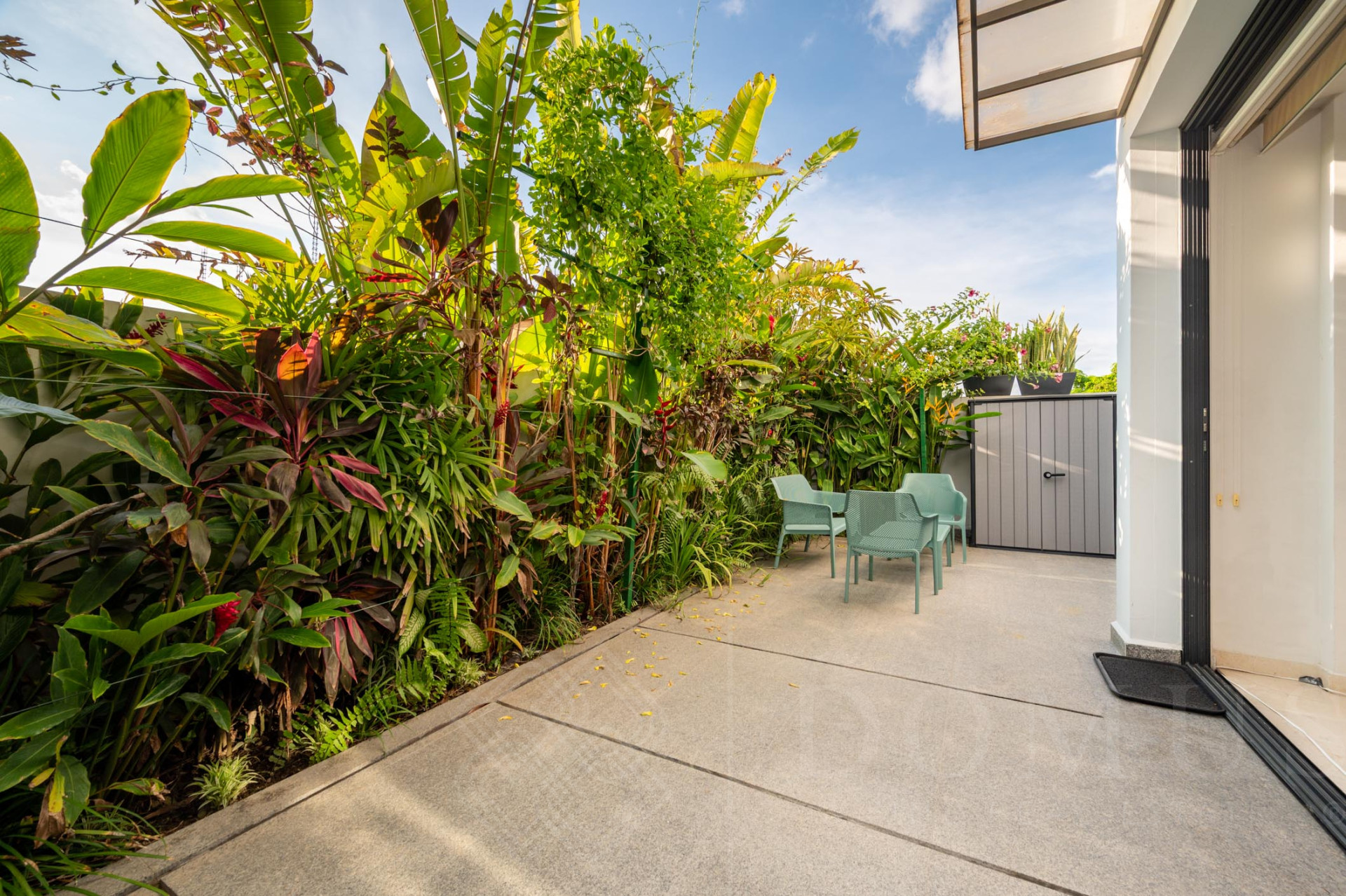 Galeria de Casa Tortugas #55, B Nayar