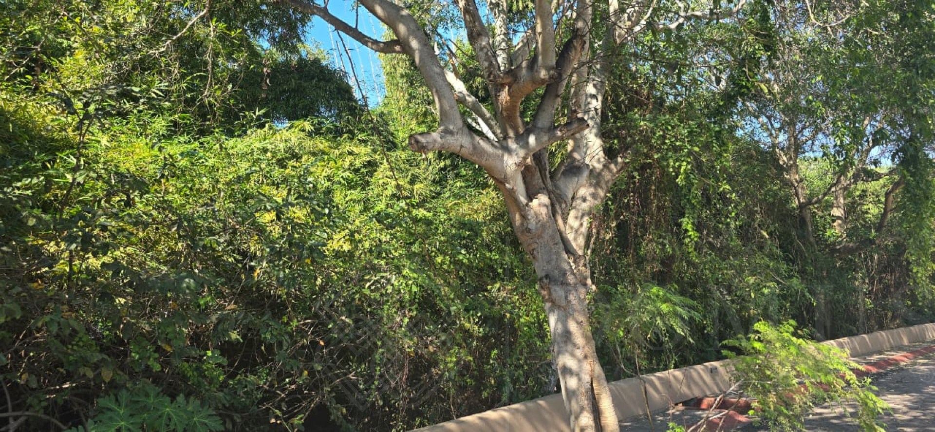 Galeria de Lote #127 Refugio Laguna