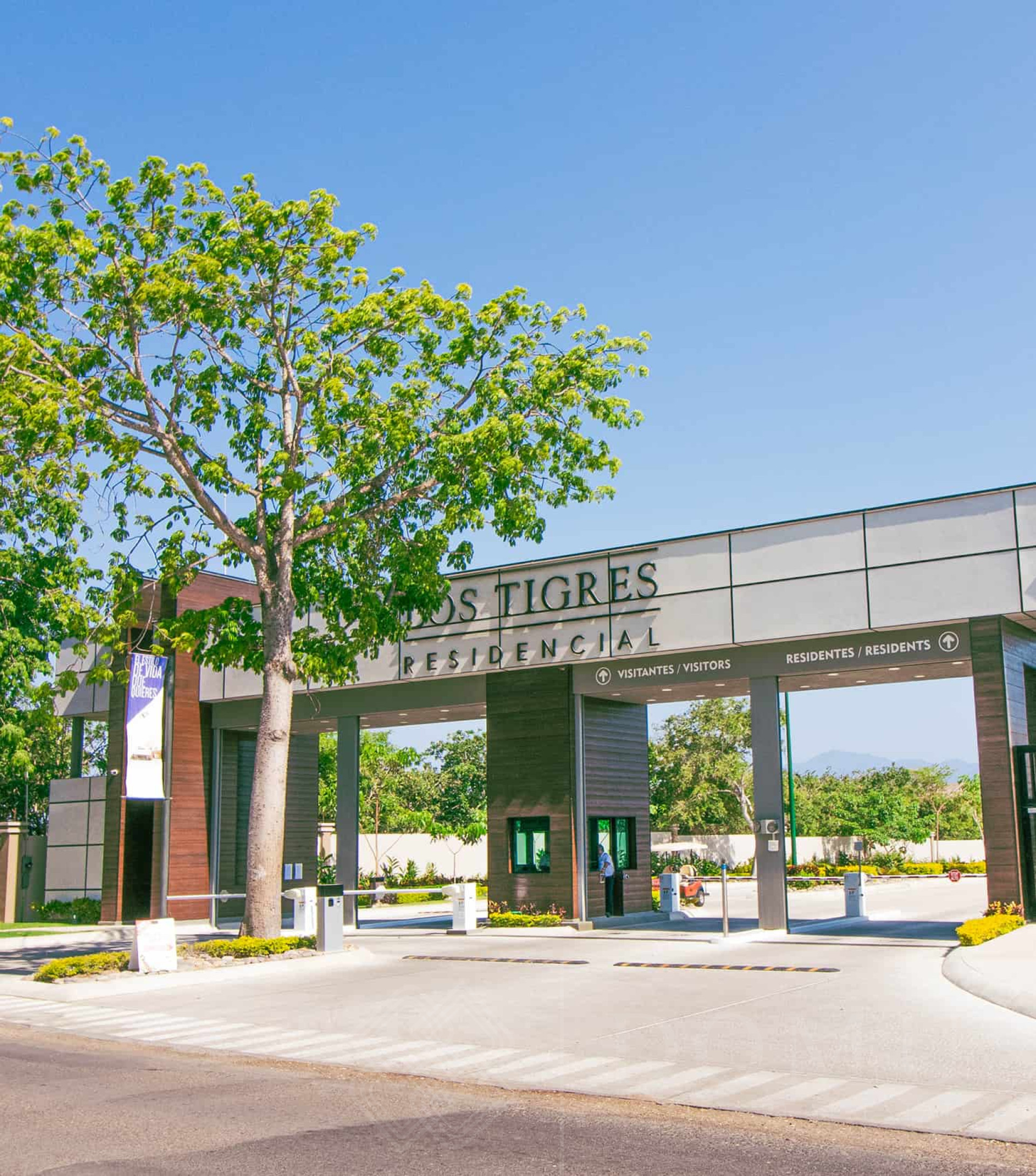 Galeria de Lote Álamo #277, Los Tigres