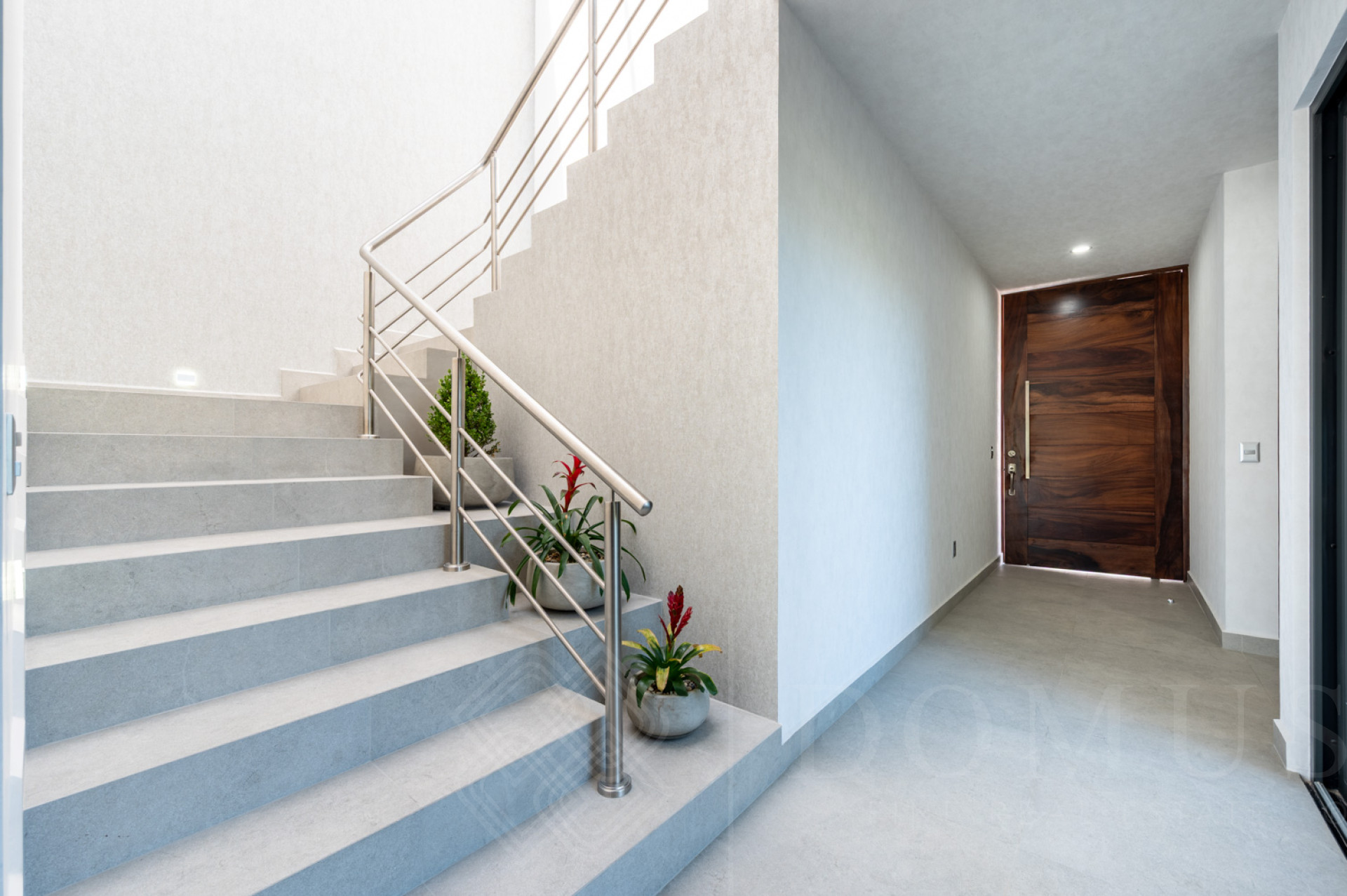 Galeria de Abedul 9, Los Tigres, Nuevo Vallarta