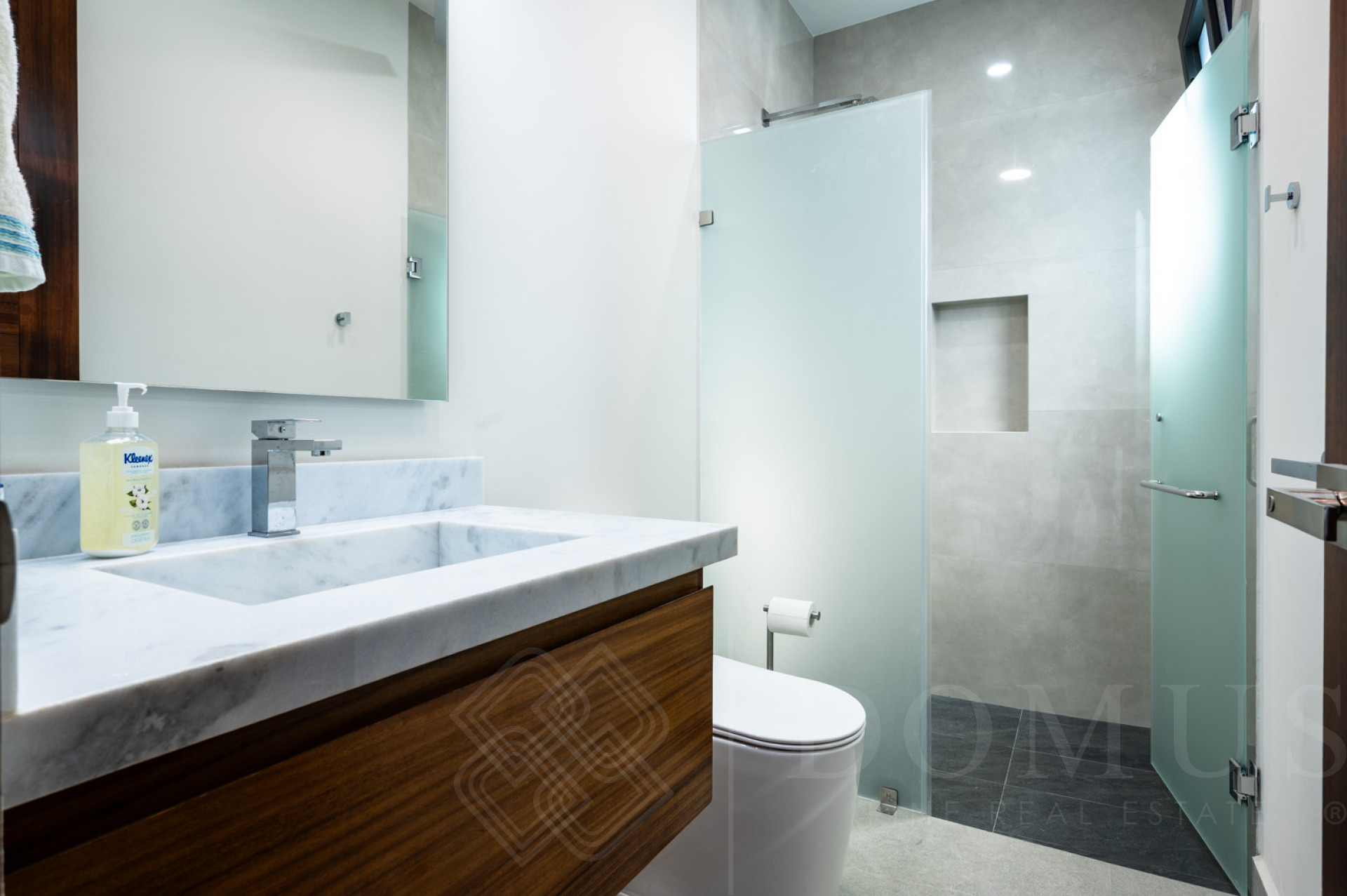 Galeria de Abedul 9, Los Tigres, Nuevo Vallarta