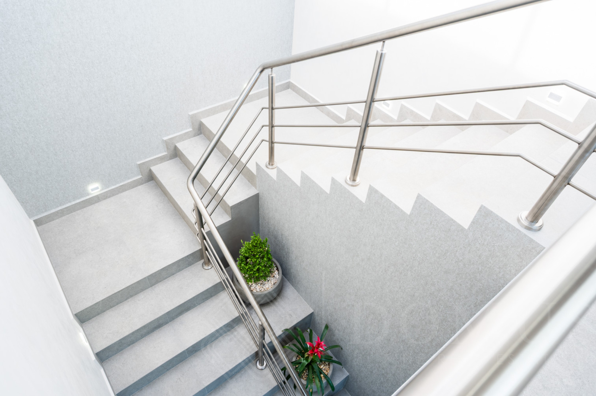 Galeria de Abedul 9, Los Tigres, Nuevo Vallarta