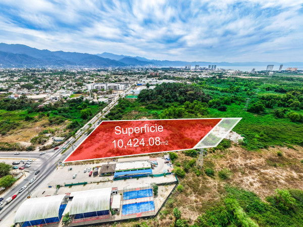 Lote #1, Avenida México