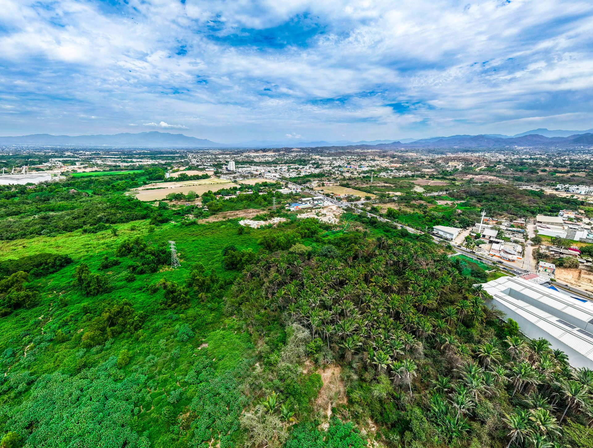 Galeria de Lote #1, Avenida México