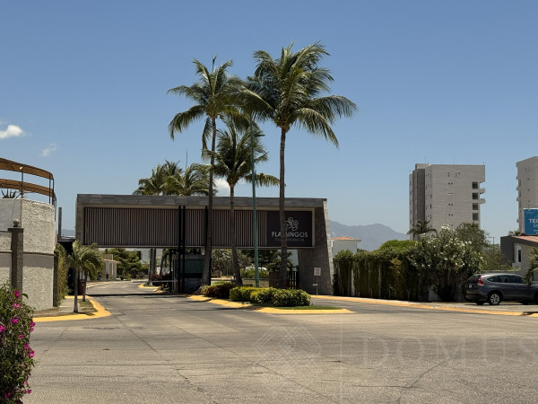Lote #7-46 Flamingos