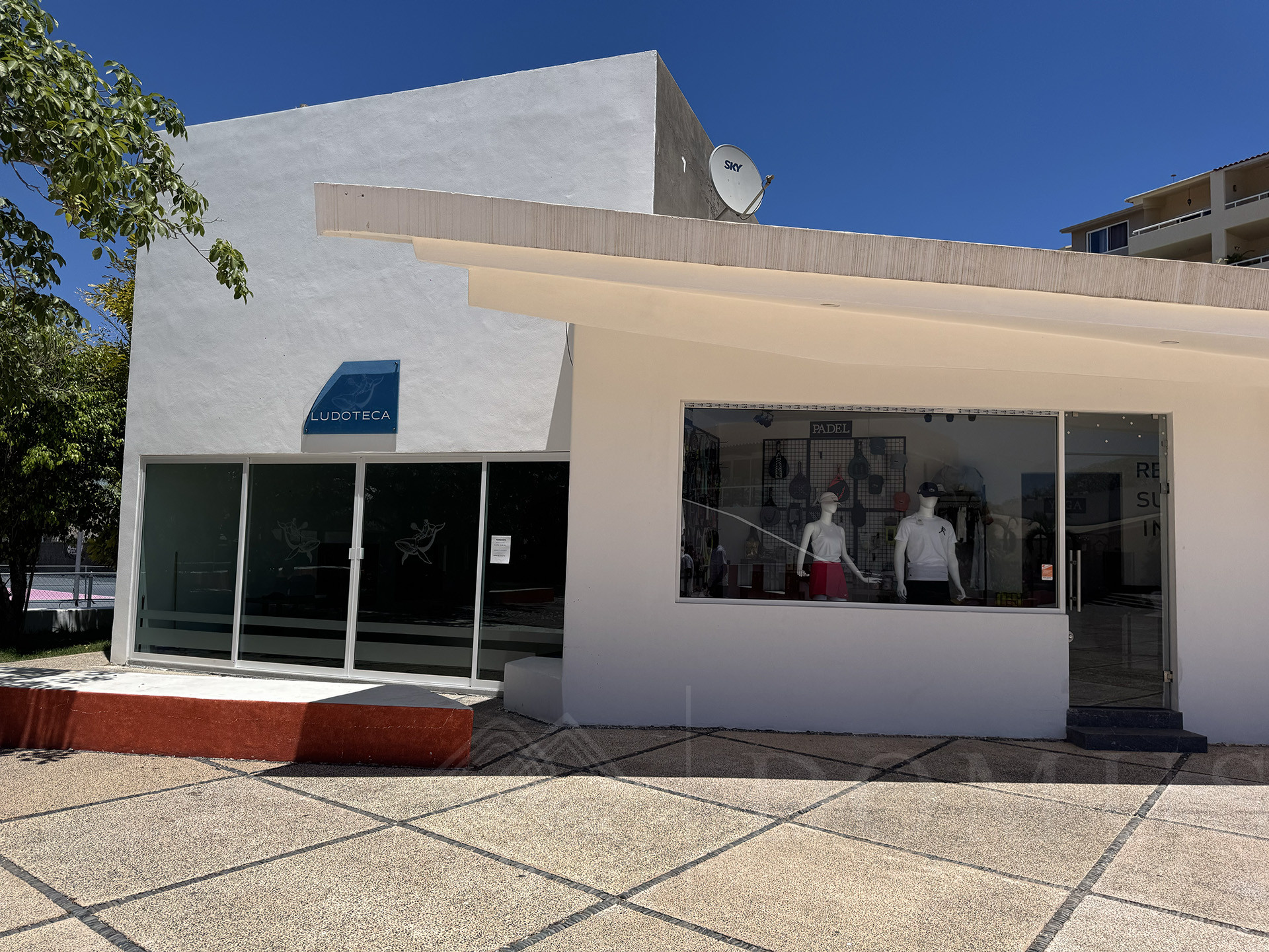 Galeria de Lote #7-46 Flamingos