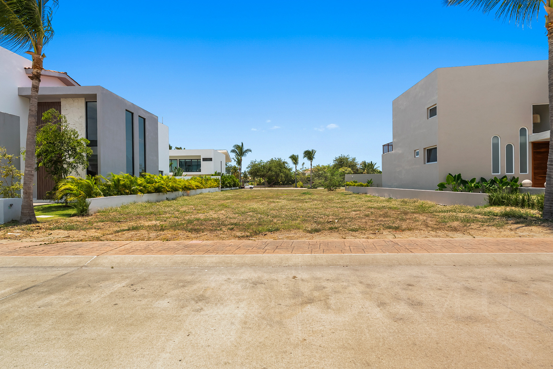 Galeria de Lote Acacia #99, Los Tigres