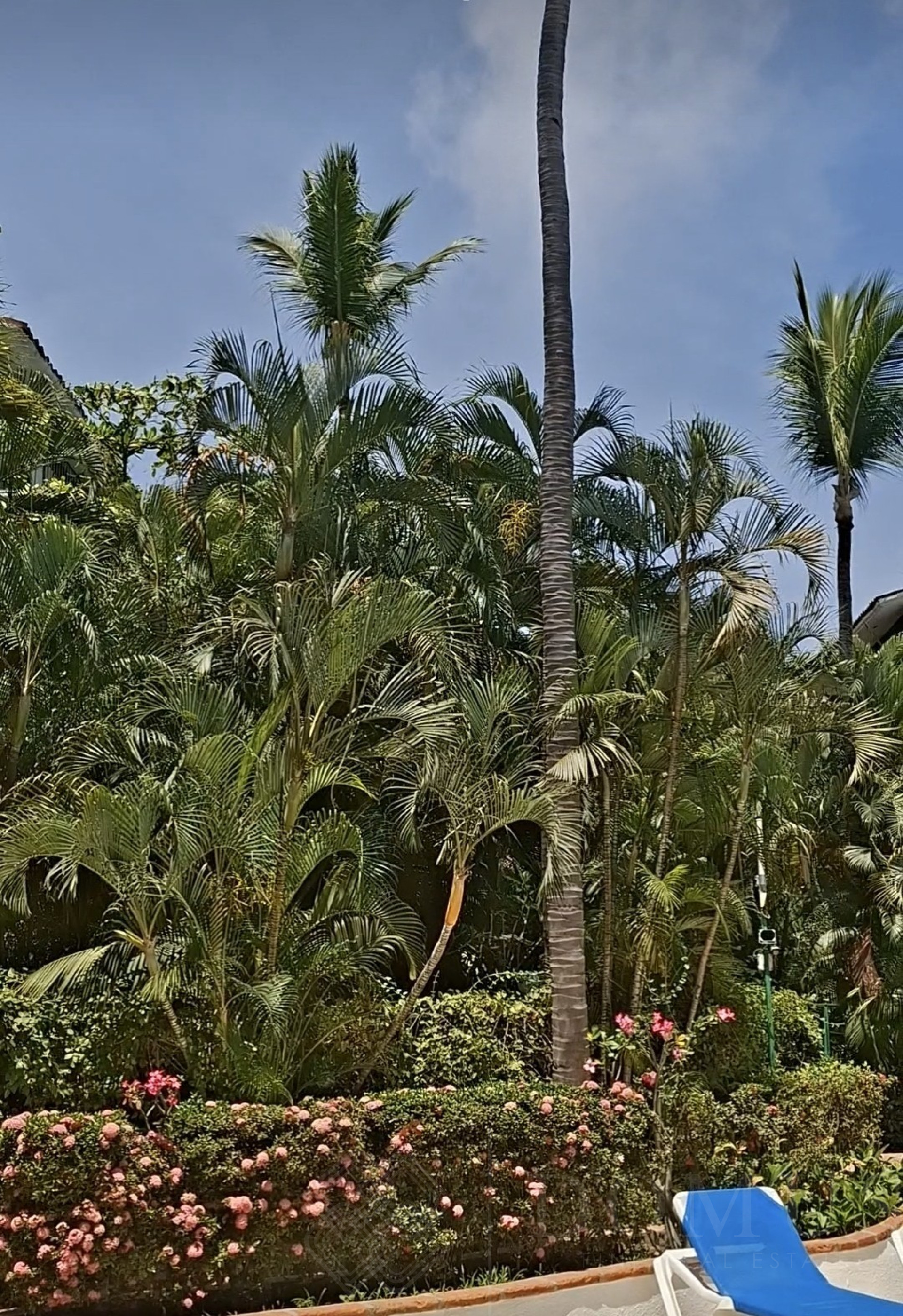 Image gallery of Marbella Torre 2 - #213, Puerto Vallarta