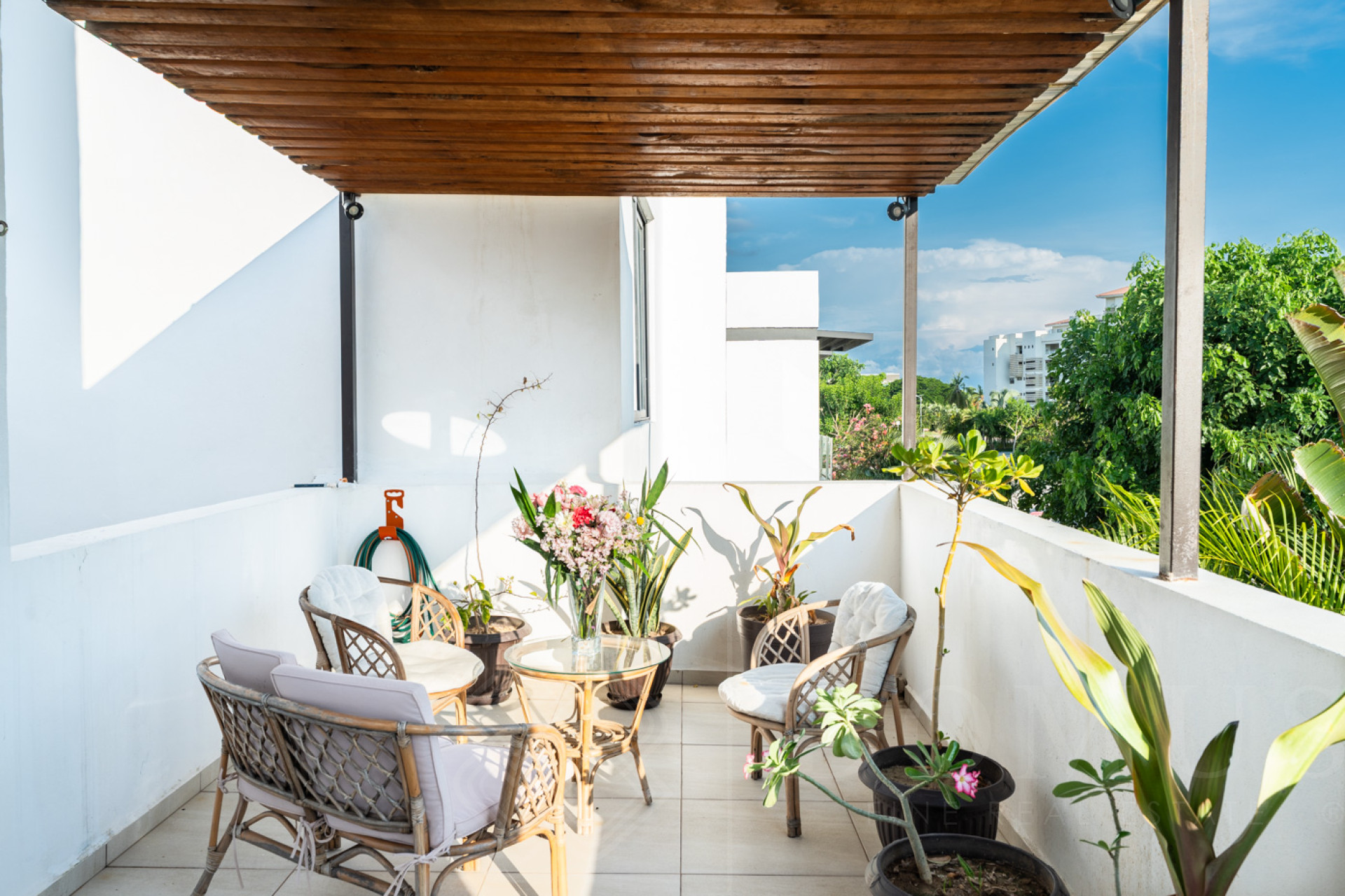 Galeria de Casa #65, Brisa del Amanecer, Tamaran