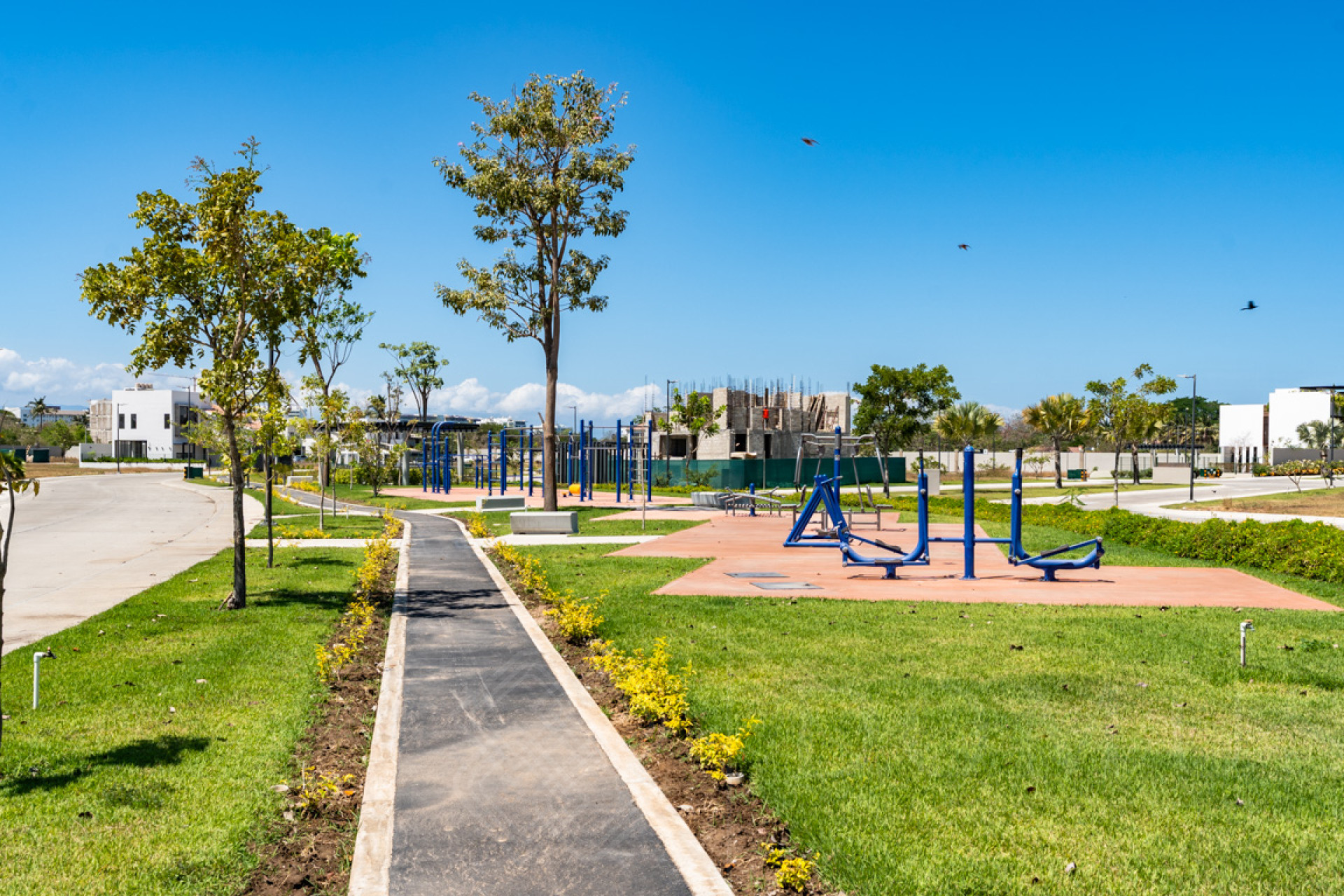 Galeria de Lote #61, Karakal, Nuevo Vallarta