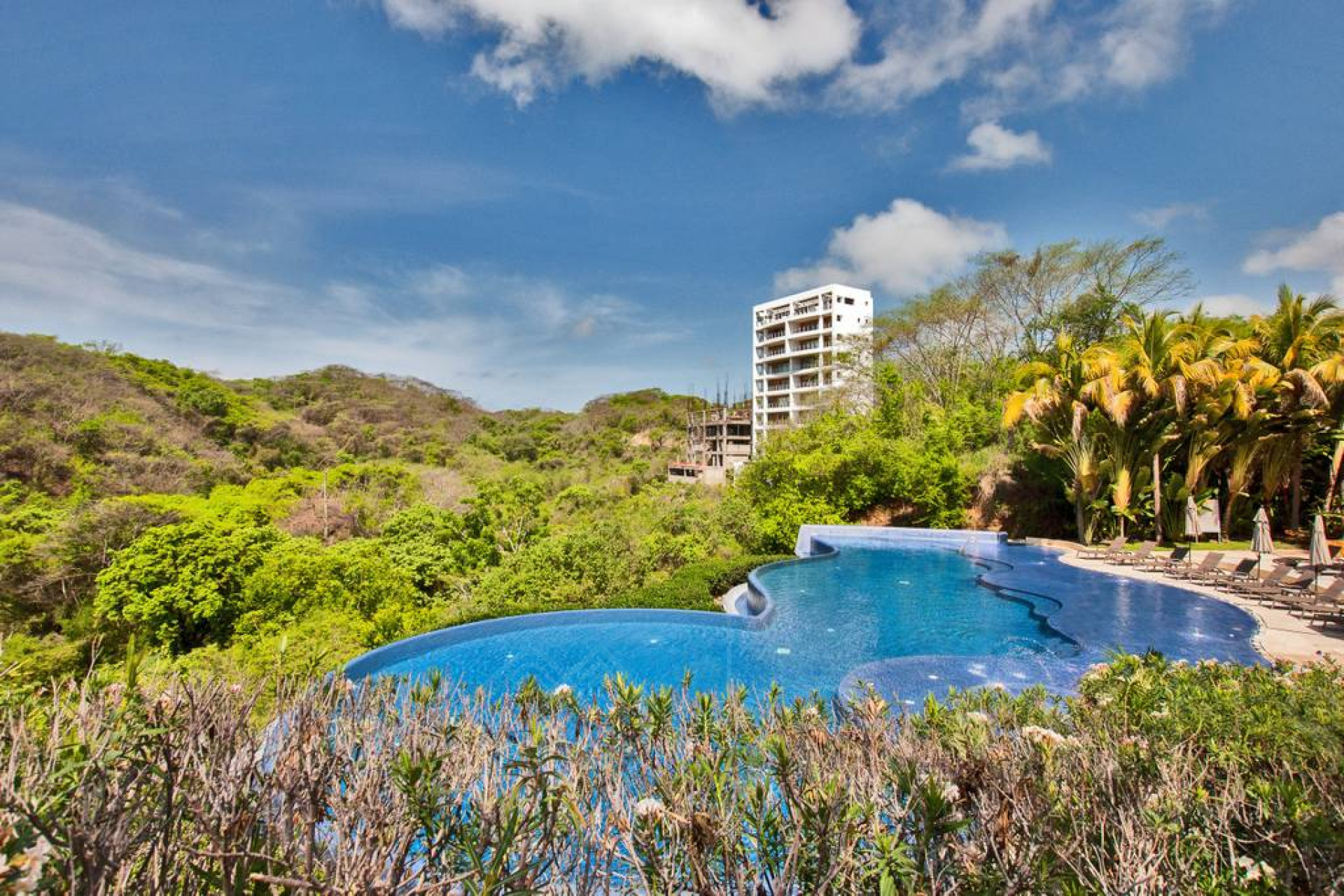 Image gallery of Amura 501A, Alamar