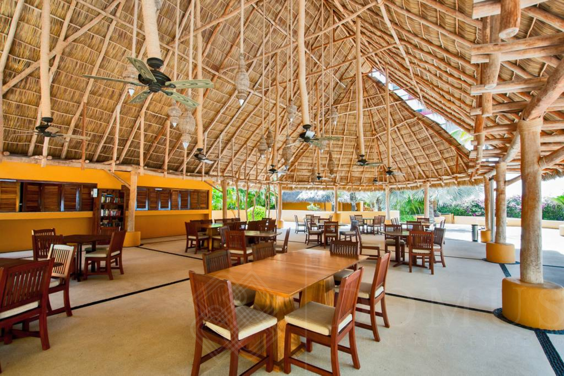 Image gallery of Amura 501A, Alamar