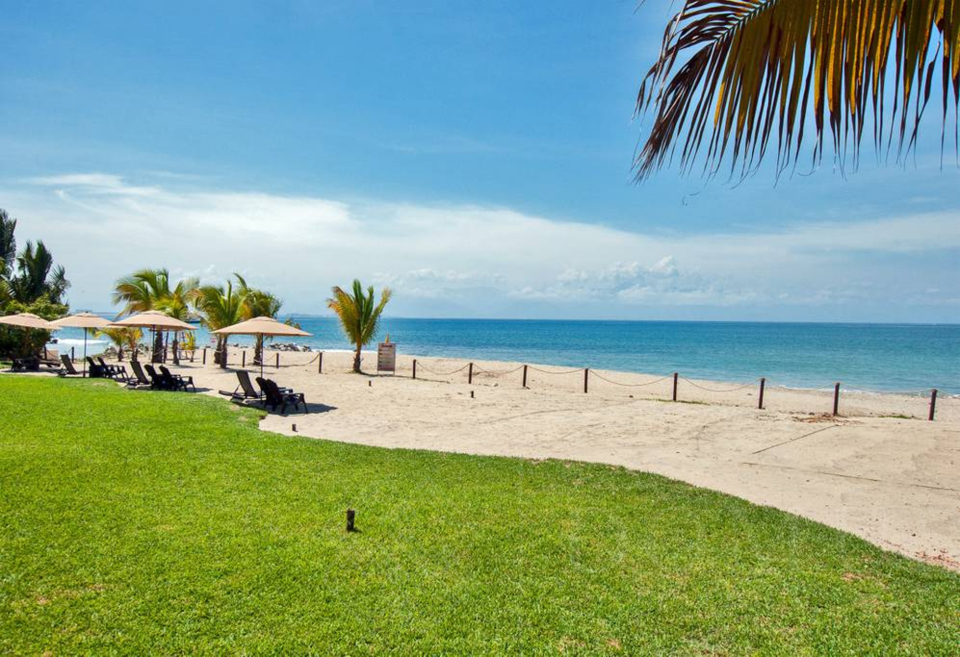 Image gallery of Amura 501A, Alamar