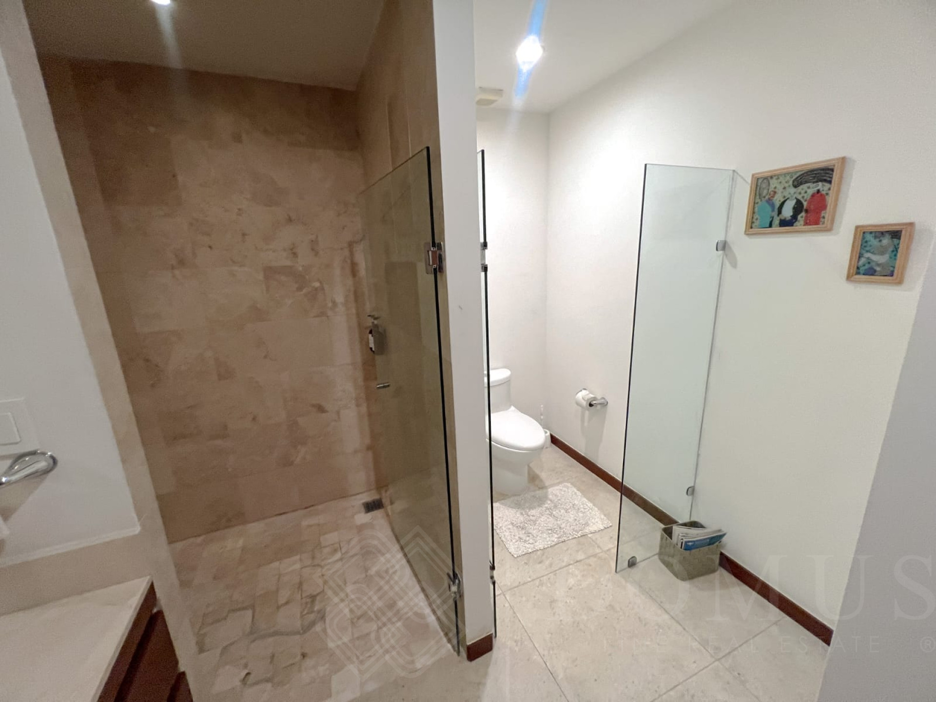 Image gallery of Amura 501A, Alamar