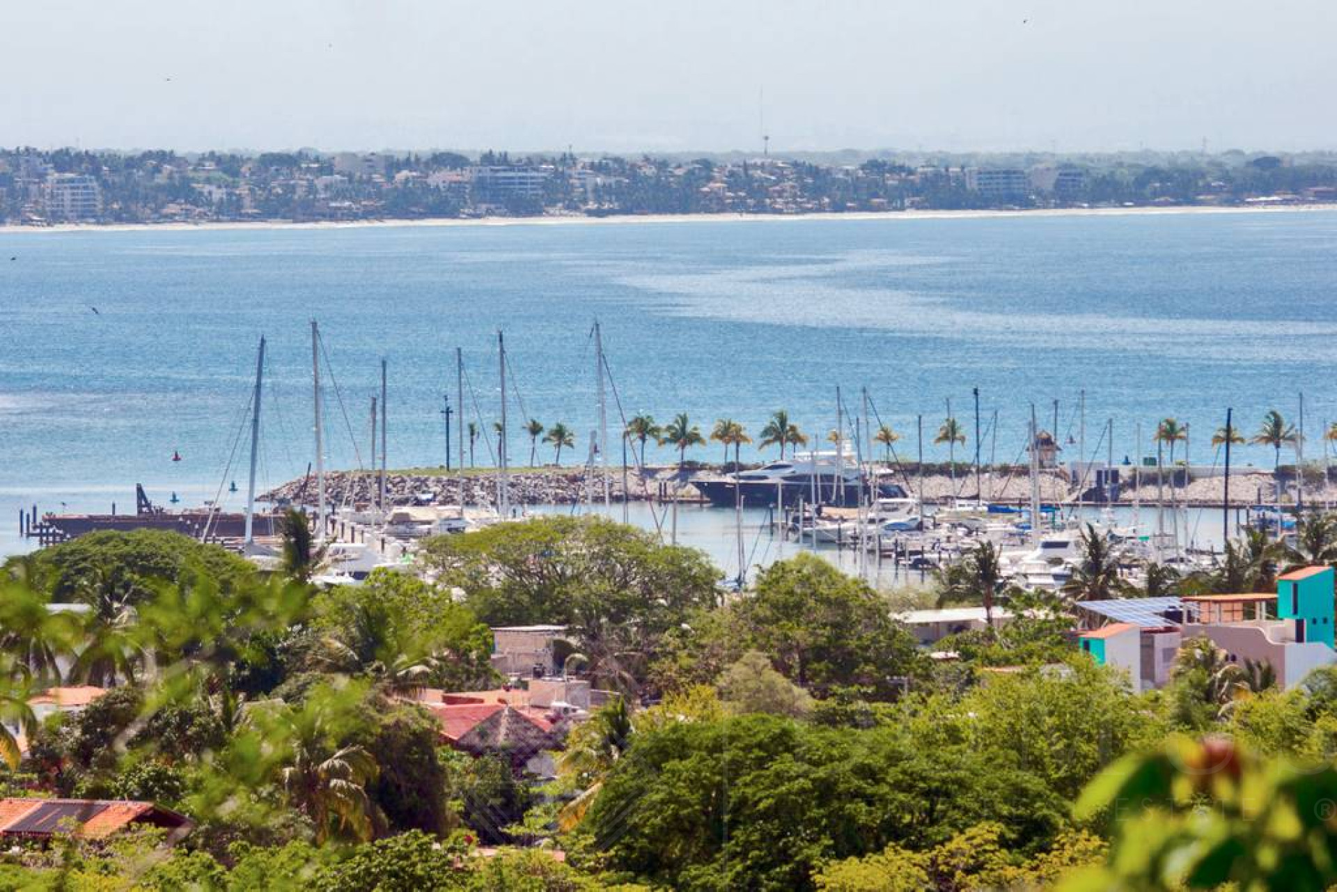 Image gallery of Amura 501A, Alamar